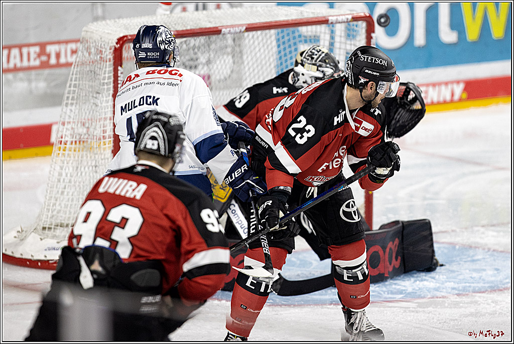 PENNY DEL;  Koelner Haie - Straubing Tigers; Koeln, 15.10.2021